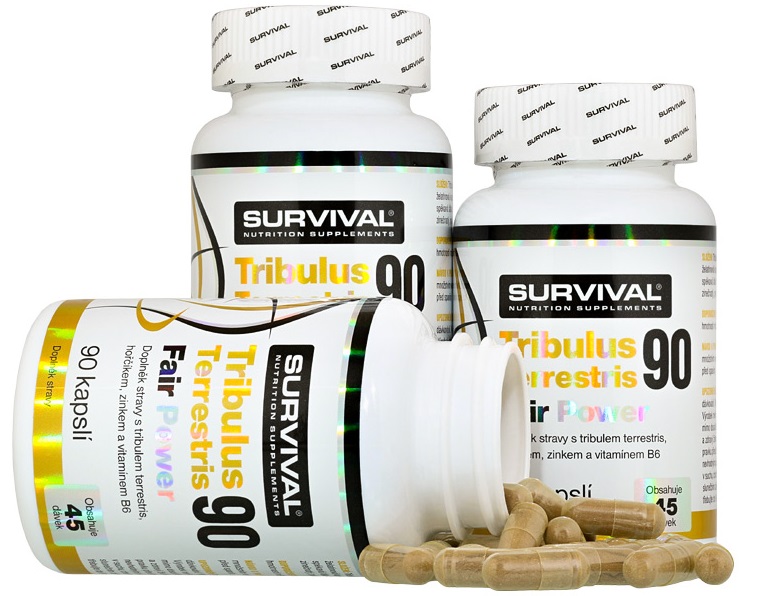 AKCE 2+1 Survival Tribulus Terrestris 90 Fair Power 90 cps