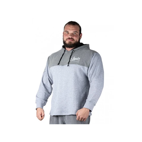 Legal Power Hoodie 4222-864/405 grey