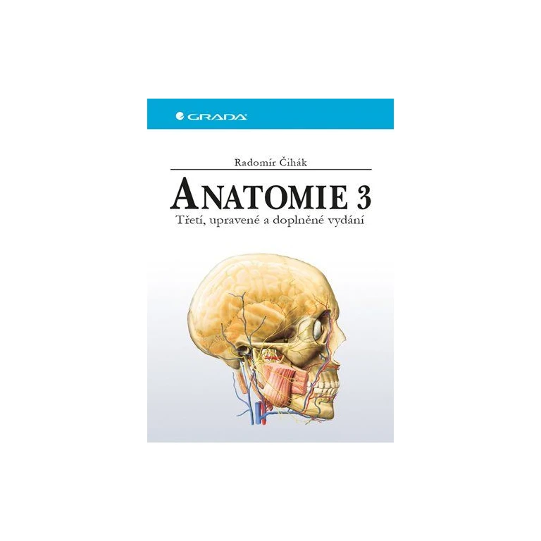 Anatomy 3