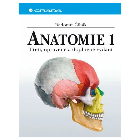 Anatomie 1