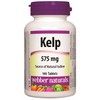 kelp.jpg