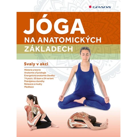 Yoga on anatomical foundations