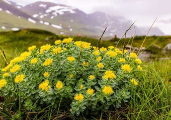 21dfd780e487383a6997a7de0cf795d3_shutterstock_708168532.jpg