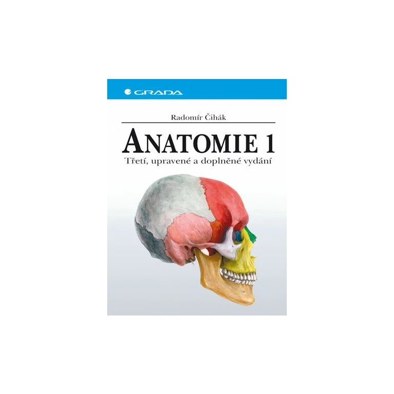 Anatomie 1