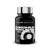 Chromium Picolinate 200 mcg 100 tbl NEW.png