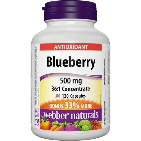 Webber Naturals Blueberry 500 mg 120 cps